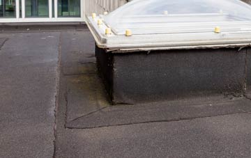 disadvantages of Sleights flat roofs